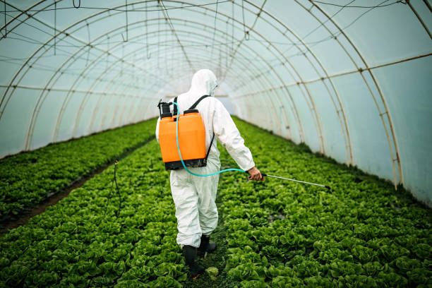 Best Best Pest Control Companies  in Decatur, TN