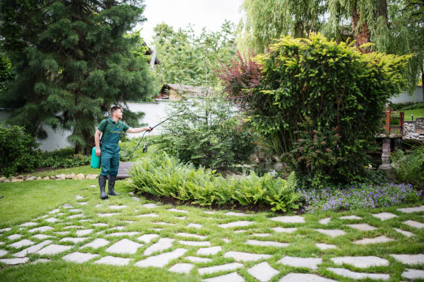 Best Local Pest Control Services  in Decatur, TN