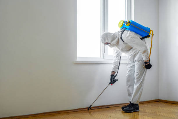 Best Mosquito Control Services  in Decatur, TN