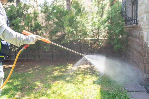 Best Termite Control Services  in Decatur, TN