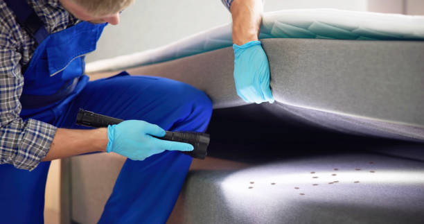 Best Exterminator Services  in Decatur, TN
