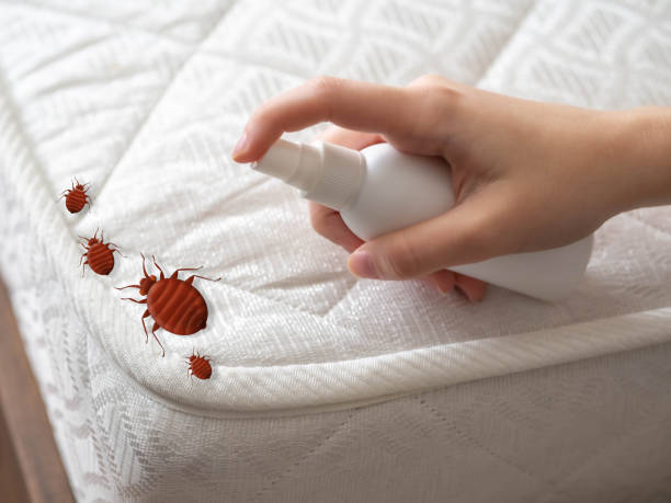 Best Pest Control for Homes  in Decatur, TN