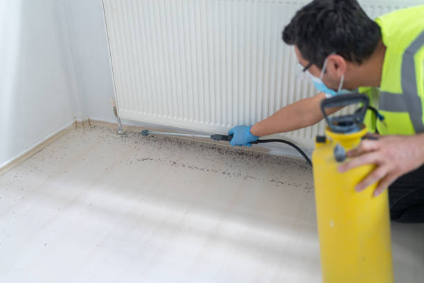 Best Residential Pest Control  in Decatur, TN