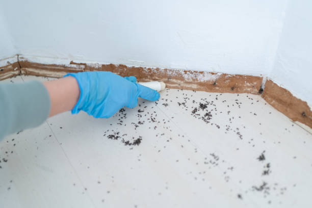 Pest Control for Restaurants in Decatur, TN