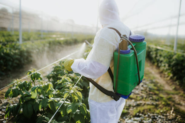 Best Pest Removal Services  in Decatur, TN